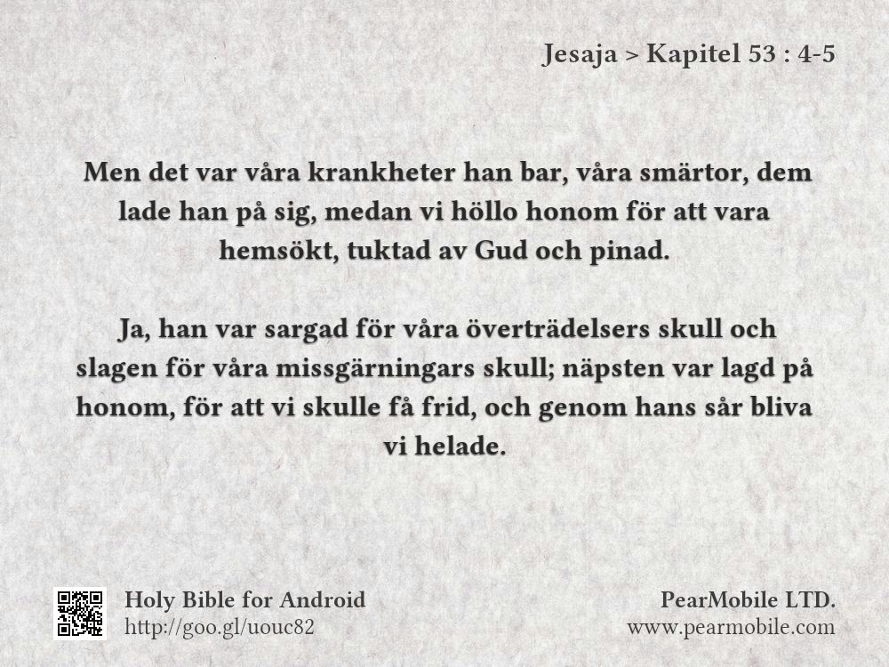 Jesaja, Kapitel 53:4-5